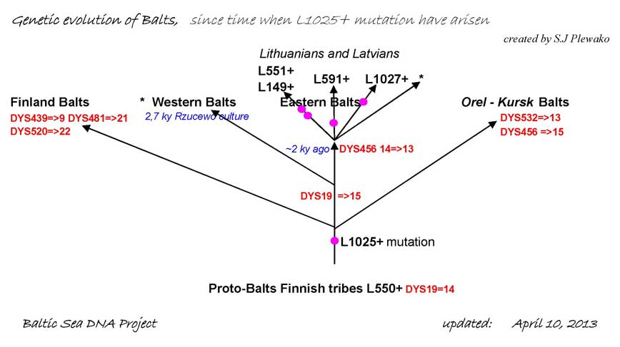 L1025_sub-evolution.jpg