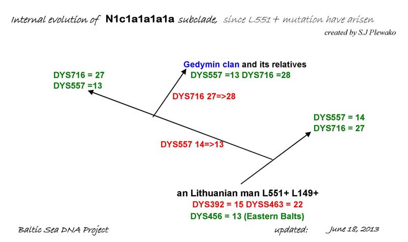 L551_subclade.jpg